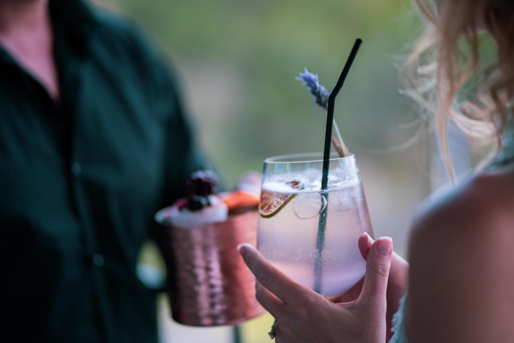 Monchique Resort & Spa Экстерьер фото A lavender cocktail